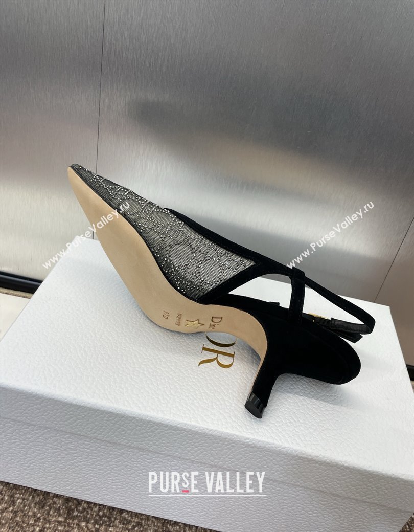 Dior Capture Slingback Pumps 6.5cm in Transparent Mesh with Silver-Tone Strass Cannage Motif and Black Suede 2024 (JC-241231050)