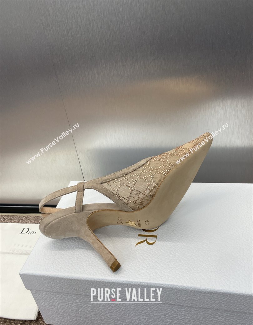 Dior Capture Slingback Pumps 9.5cm in Transparent Mesh with Gold-Tone Strass Cannage Motif and Beige Suede 2024 (JC-241231051)