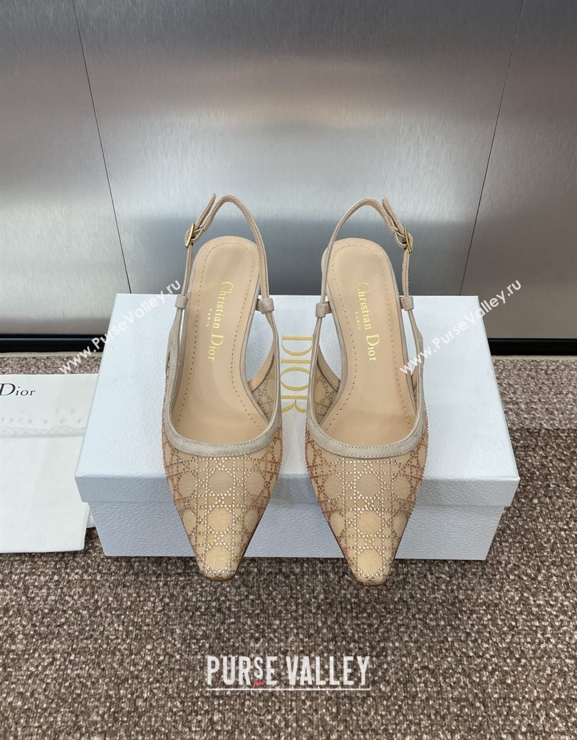 Dior Capture Slingback Pumps 6.5cm in Transparent Mesh with Gold-Tone Strass Cannage Motif and Beige Suede 2024 (JC-241231052)