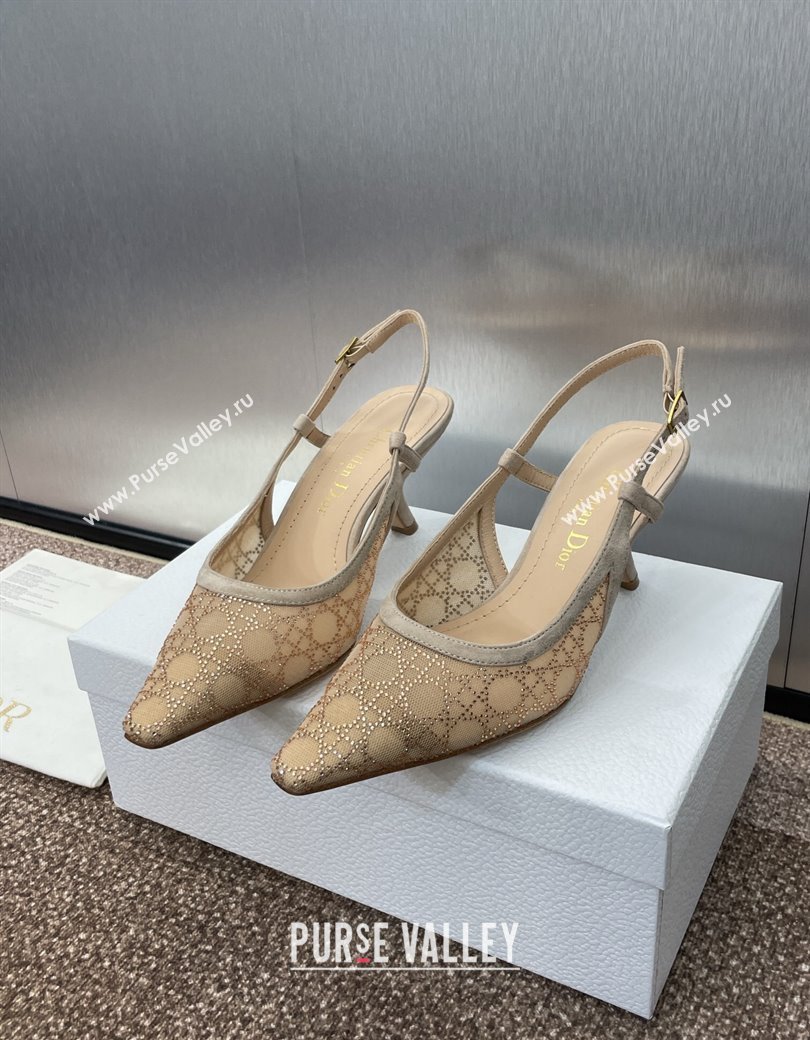 Dior Capture Slingback Pumps 6.5cm in Transparent Mesh with Gold-Tone Strass Cannage Motif and Beige Suede 2024 (JC-241231052)