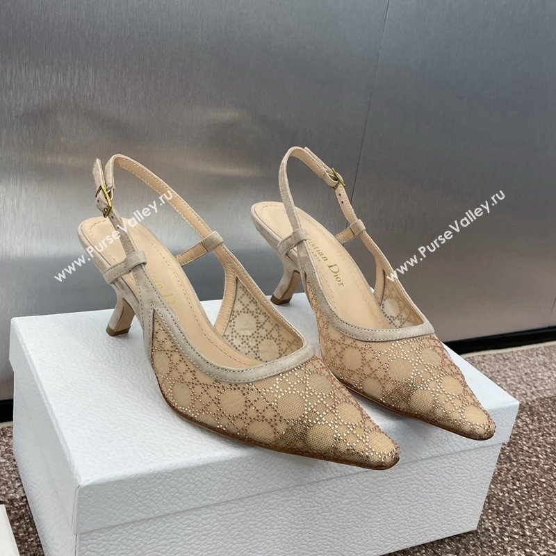 Dior Capture Slingback Pumps 6.5cm in Transparent Mesh with Gold-Tone Strass Cannage Motif and Beige Suede 2024 (JC-241231052)