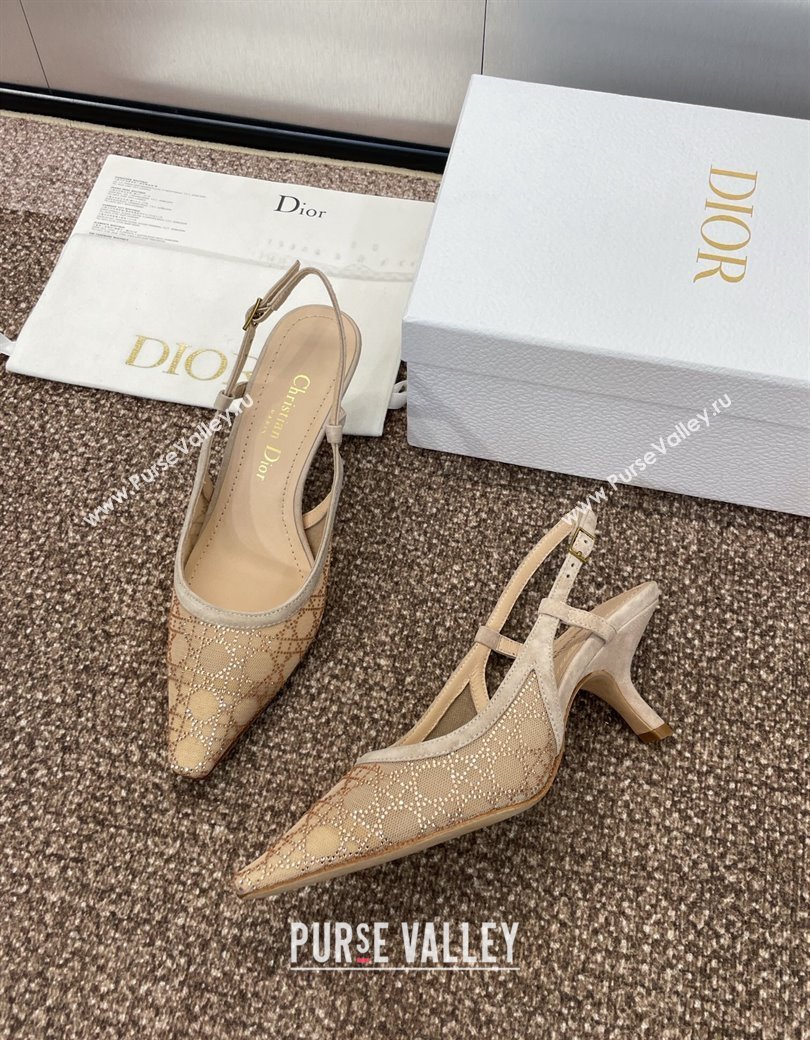 Dior Capture Slingback Pumps 6.5cm in Transparent Mesh with Gold-Tone Strass Cannage Motif and Beige Suede 2024 (JC-241231052)