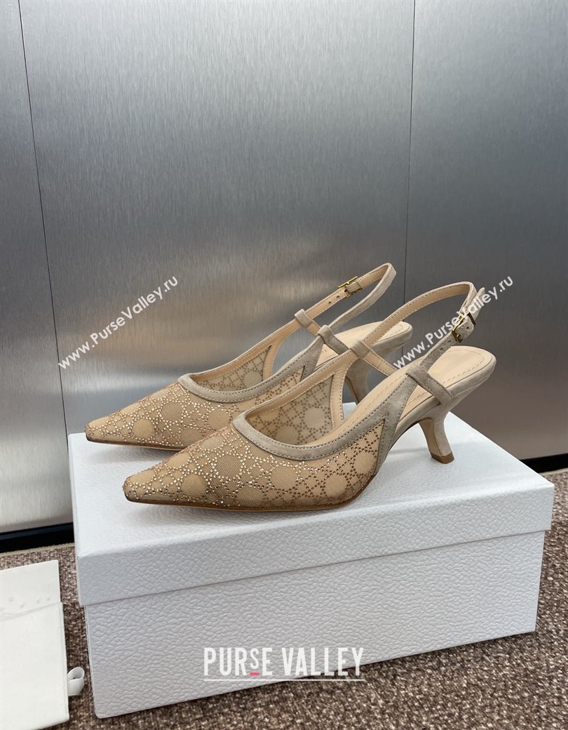 Dior Capture Slingback Pumps 6.5cm in Transparent Mesh with Gold-Tone Strass Cannage Motif and Beige Suede 2024 (JC-241231052)