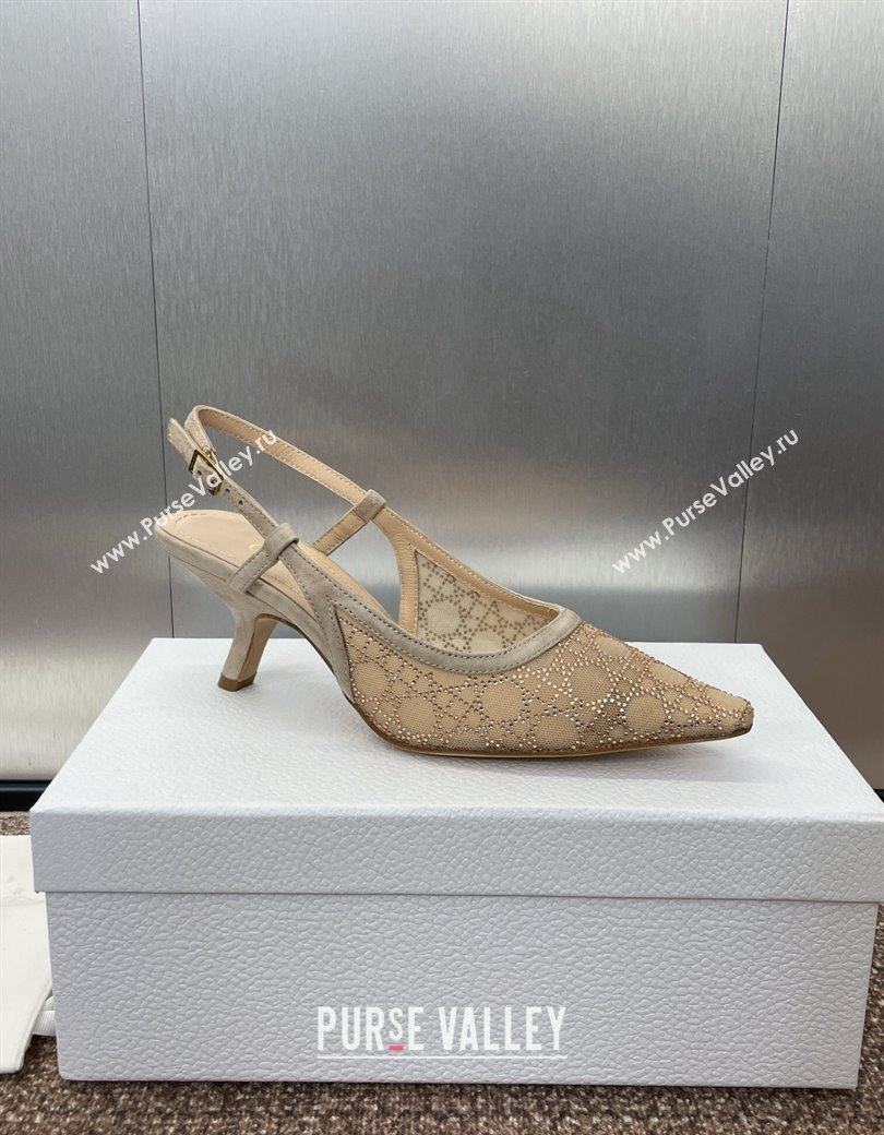 Dior Capture Slingback Pumps 6.5cm in Transparent Mesh with Gold-Tone Strass Cannage Motif and Beige Suede 2024 (JC-241231052)