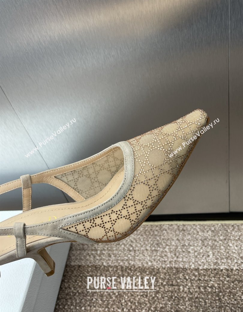 Dior Capture Slingback Pumps 6.5cm in Transparent Mesh with Gold-Tone Strass Cannage Motif and Beige Suede 2024 (JC-241231052)