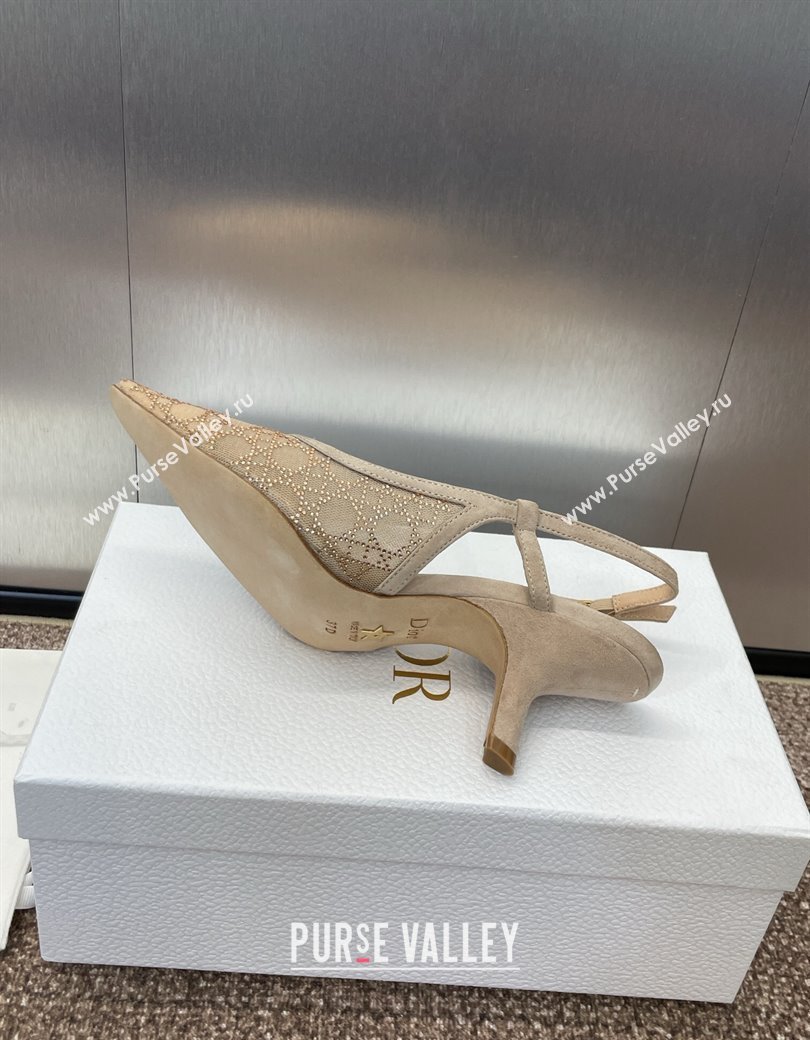 Dior Capture Slingback Pumps 6.5cm in Transparent Mesh with Gold-Tone Strass Cannage Motif and Beige Suede 2024 (JC-241231052)