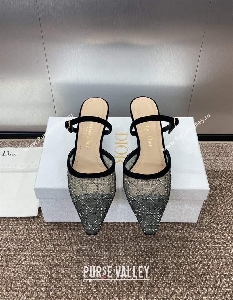 Dior Capture Heeled Mules 6.5cm in Transparent Mesh with Silver-Tone Strass Cannage Motif and Black Suede 2024 (JC-241231056)