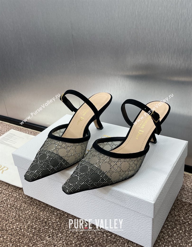 Dior Capture Heeled Mules 6.5cm in Transparent Mesh with Silver-Tone Strass Cannage Motif and Black Suede 2024 (JC-241231056)