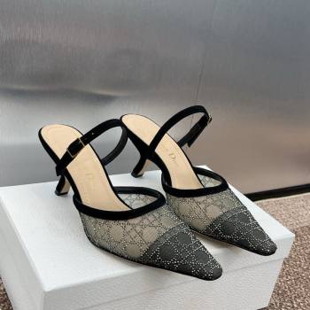 Dior Capture Heeled Mules 6.5cm in Transparent Mesh with Silver-Tone Strass Cannage Motif and Black Suede 2024 (JC-241231056)