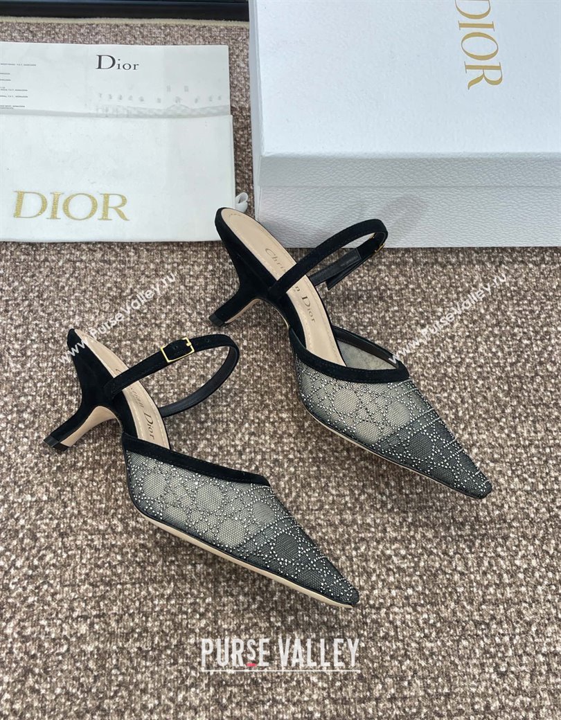 Dior Capture Heeled Mules 6.5cm in Transparent Mesh with Silver-Tone Strass Cannage Motif and Black Suede 2024 (JC-241231056)