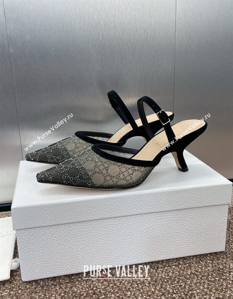 Dior Capture Heeled Mules 6.5cm in Transparent Mesh with Silver-Tone Strass Cannage Motif and Black Suede 2024 (JC-241231056)