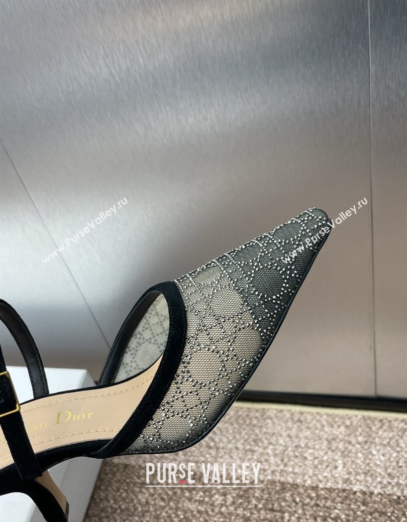 Dior Capture Heeled Mules 6.5cm in Transparent Mesh with Silver-Tone Strass Cannage Motif and Black Suede 2024 (JC-241231056)