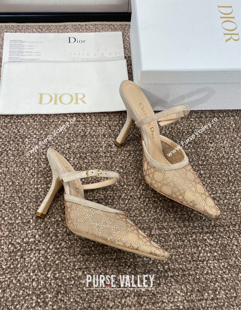 Dior Capture Heeled Mules 9.5cm in Transparent Mesh with Gold-Tone Strass Cannage Motif and Beige Suede 2024 (JC-241231053)