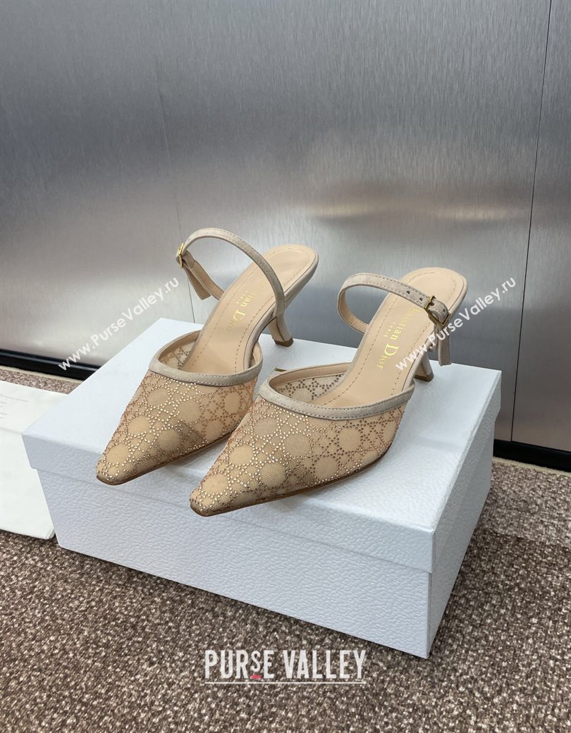 Dior Capture Heeled Mules 6.5cm in Transparent Mesh with Gold-Tone Strass Cannage Motif and Beige Suede 2024 (JC-241231054)