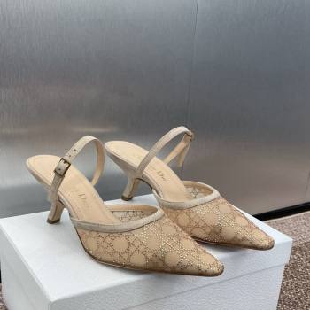 Dior Capture Heeled Mules 6.5cm in Transparent Mesh with Gold-Tone Strass Cannage Motif and Beige Suede 2024 (JC-241231054)