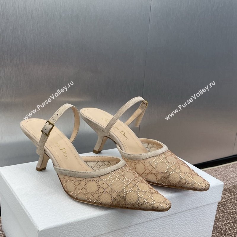 Dior Capture Heeled Mules 6.5cm in Transparent Mesh with Gold-Tone Strass Cannage Motif and Beige Suede 2024 (JC-241231054)