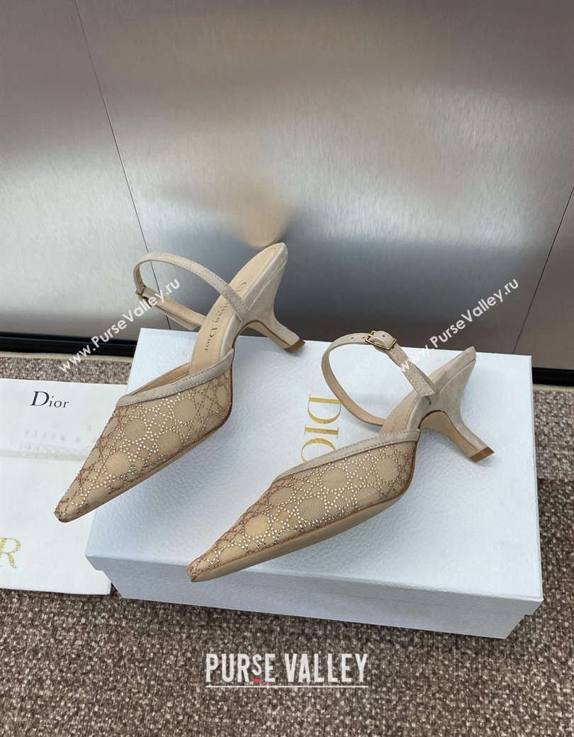 Dior Capture Heeled Mules 6.5cm in Transparent Mesh with Gold-Tone Strass Cannage Motif and Beige Suede 2024 (JC-241231054)