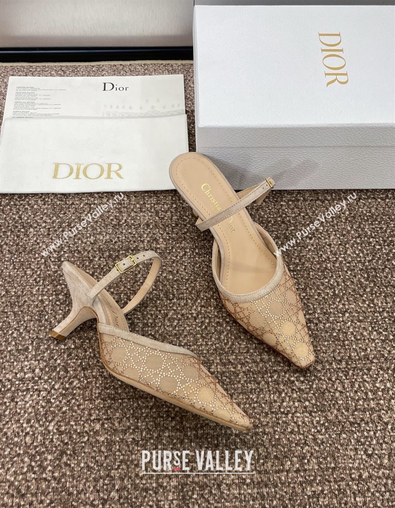 Dior Capture Heeled Mules 6.5cm in Transparent Mesh with Gold-Tone Strass Cannage Motif and Beige Suede 2024 (JC-241231054)