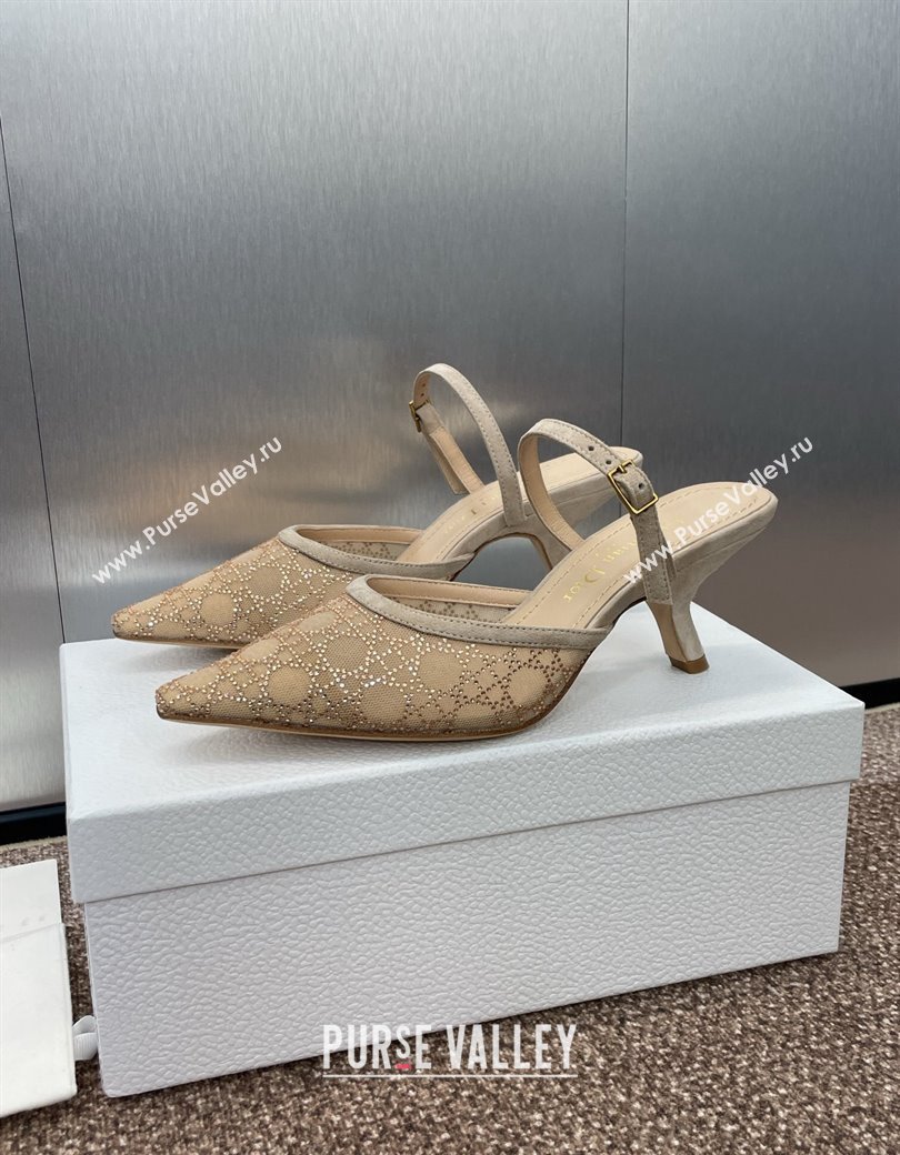 Dior Capture Heeled Mules 6.5cm in Transparent Mesh with Gold-Tone Strass Cannage Motif and Beige Suede 2024 (JC-241231054)