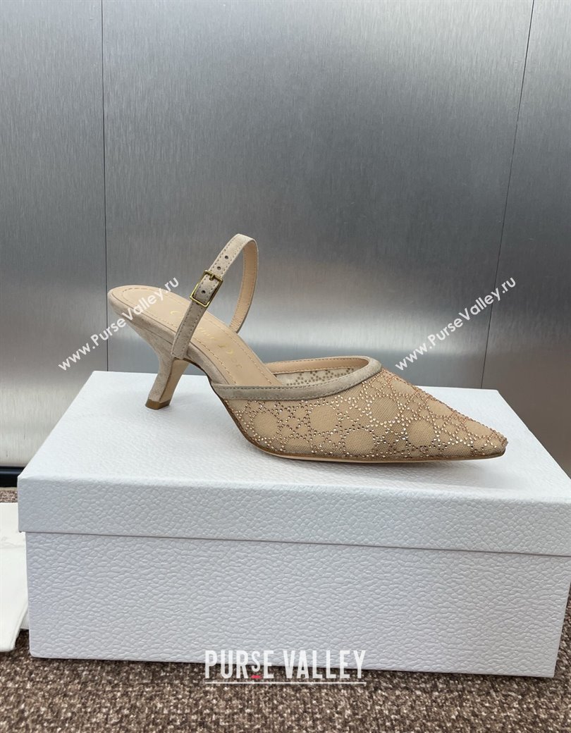 Dior Capture Heeled Mules 6.5cm in Transparent Mesh with Gold-Tone Strass Cannage Motif and Beige Suede 2024 (JC-241231054)