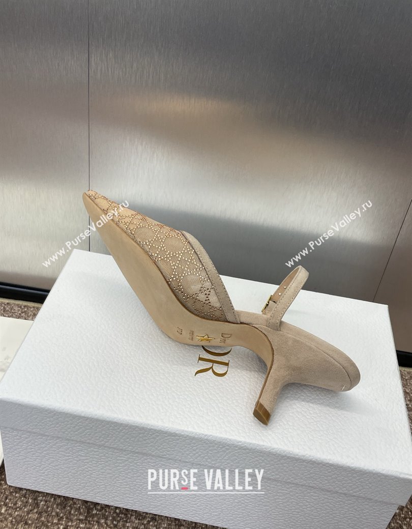 Dior Capture Heeled Mules 6.5cm in Transparent Mesh with Gold-Tone Strass Cannage Motif and Beige Suede 2024 (JC-241231054)