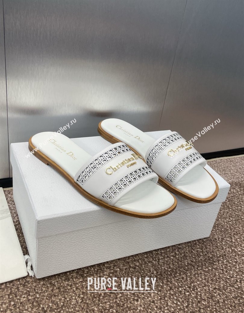 Dior D-Lane Flat Slides Sandal in Calfskin with Openwork Microcannage Motif White 2024 (JC-241231032)