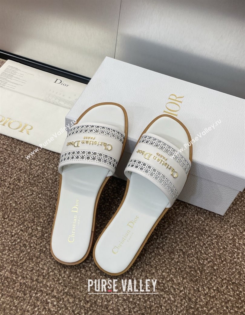 Dior D-Lane Flat Slides Sandal in Calfskin with Openwork Microcannage Motif White 2024 (JC-241231032)