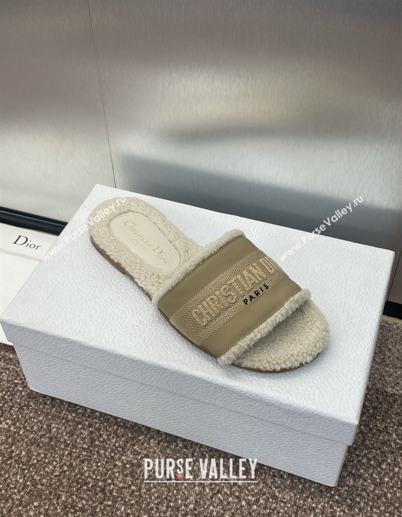 Dior Dway Flat Slides Sandal in Calfskin and Embroidered Cotton with Shearling Lining Beige 2024 (JC-241231075)