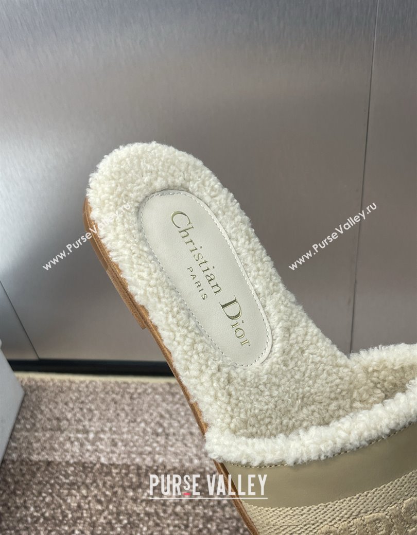 Dior Dway Flat Slides Sandal in Calfskin and Embroidered Cotton with Shearling Lining Beige 2024 (JC-241231075)