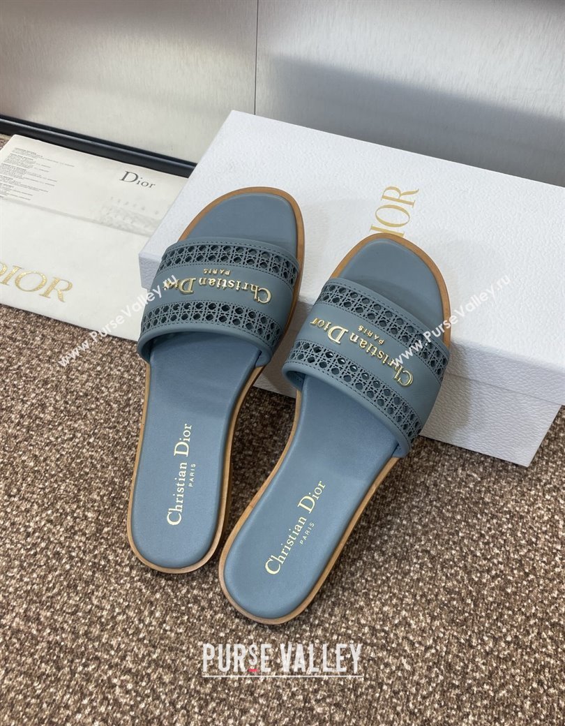 Dior D-Lane Flat Slides Sandal in Calfskin with Openwork Microcannage Motif Blue 2024 (JC-241231034)