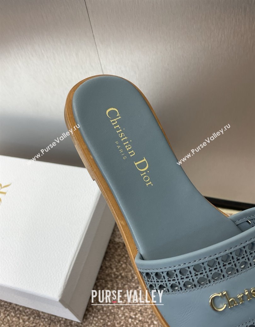 Dior D-Lane Flat Slides Sandal in Calfskin with Openwork Microcannage Motif Blue 2024 (JC-241231034)