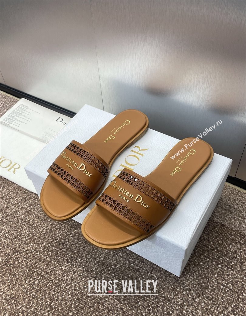 Dior D-Lane Flat Slides Sandal in Calfskin with Openwork Microcannage Motif Brown 2024 (JC-241231035)