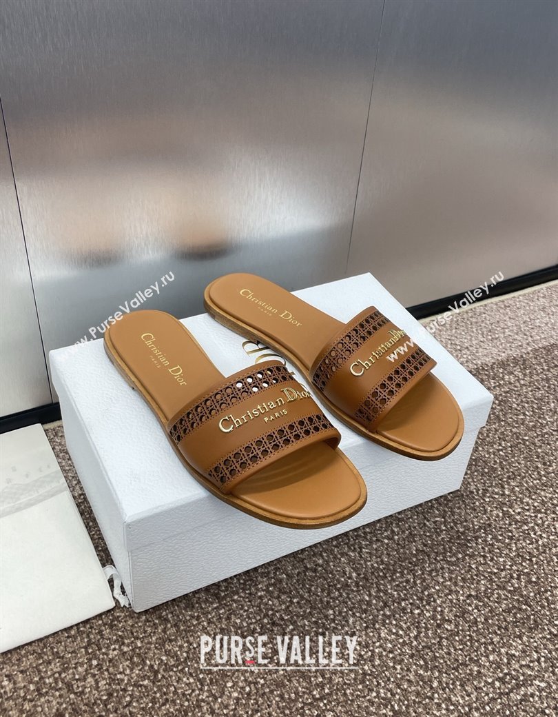 Dior D-Lane Flat Slides Sandal in Calfskin with Openwork Microcannage Motif Brown 2024 (JC-241231035)