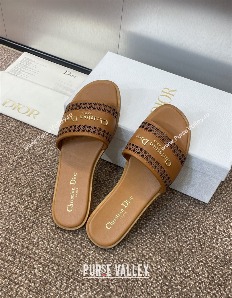 Dior D-Lane Flat Slides Sandal in Calfskin with Openwork Microcannage Motif Brown 2024 (JC-241231035)