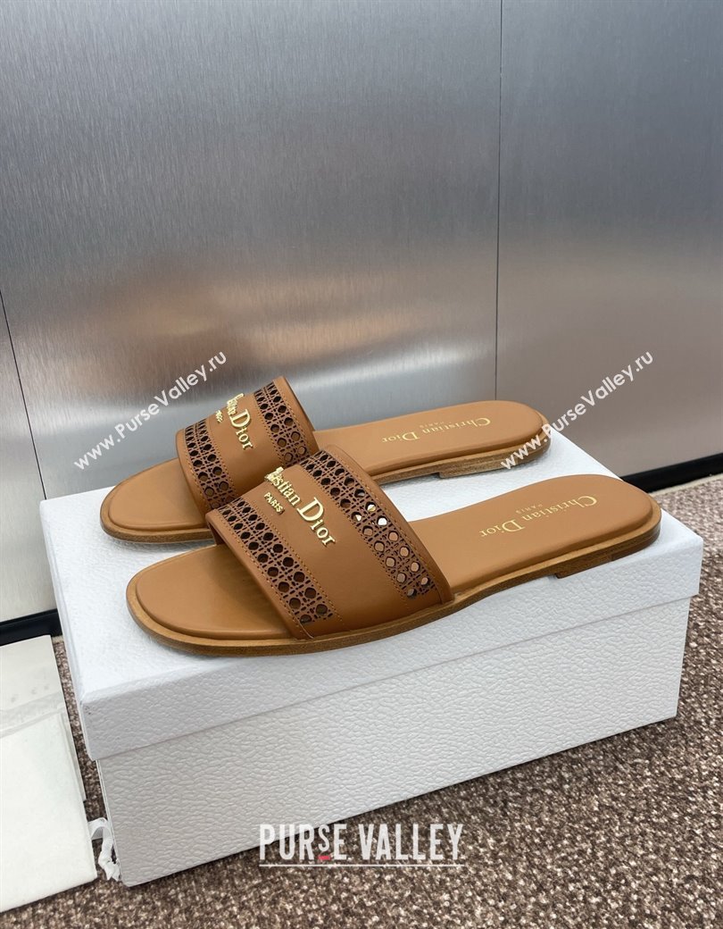 Dior D-Lane Flat Slides Sandal in Calfskin with Openwork Microcannage Motif Brown 2024 (JC-241231035)