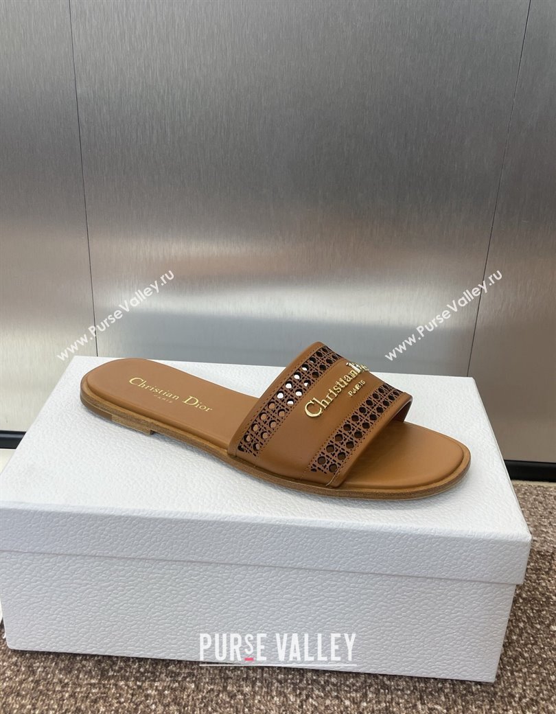 Dior D-Lane Flat Slides Sandal in Calfskin with Openwork Microcannage Motif Brown 2024 (JC-241231035)