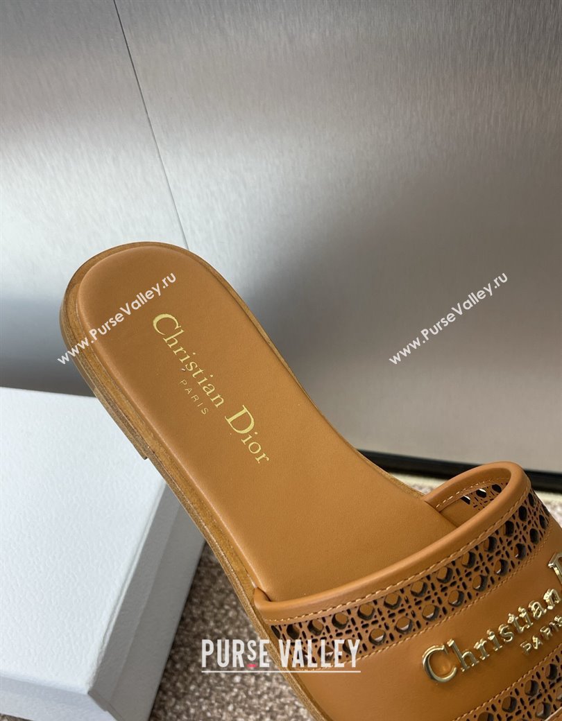 Dior D-Lane Flat Slides Sandal in Calfskin with Openwork Microcannage Motif Brown 2024 (JC-241231035)