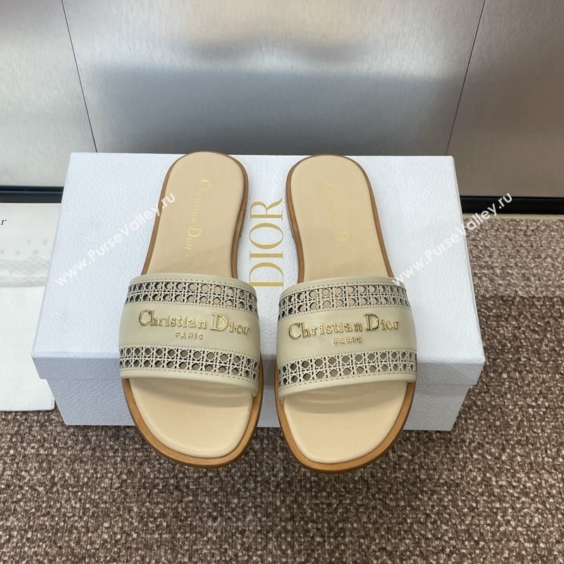 Dior D-Lane Flat Slides Sandal in Calfskin with Openwork Microcannage Motif Beige 2024 (JC-241231036)