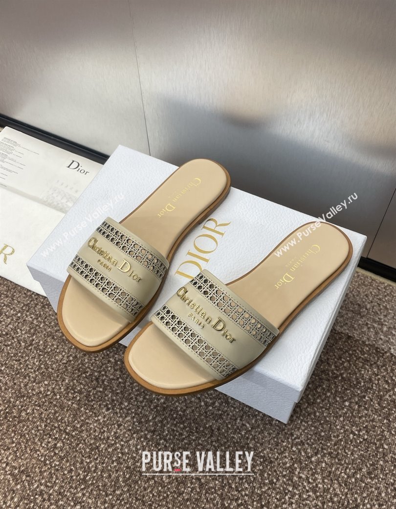 Dior D-Lane Flat Slides Sandal in Calfskin with Openwork Microcannage Motif Beige 2024 (JC-241231036)