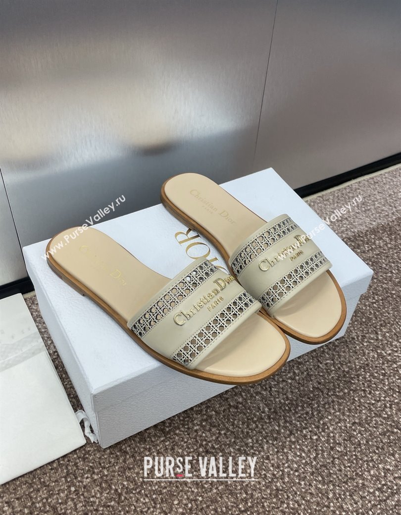 Dior D-Lane Flat Slides Sandal in Calfskin with Openwork Microcannage Motif Beige 2024 (JC-241231036)