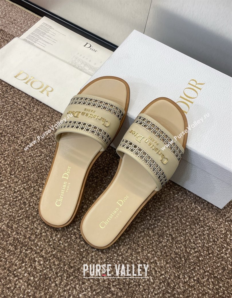 Dior D-Lane Flat Slides Sandal in Calfskin with Openwork Microcannage Motif Beige 2024 (JC-241231036)