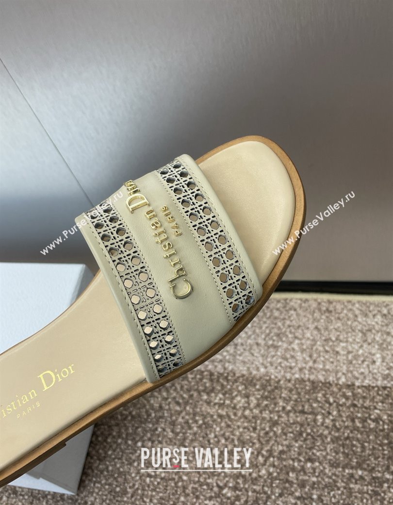 Dior D-Lane Flat Slides Sandal in Calfskin with Openwork Microcannage Motif Beige 2024 (JC-241231036)