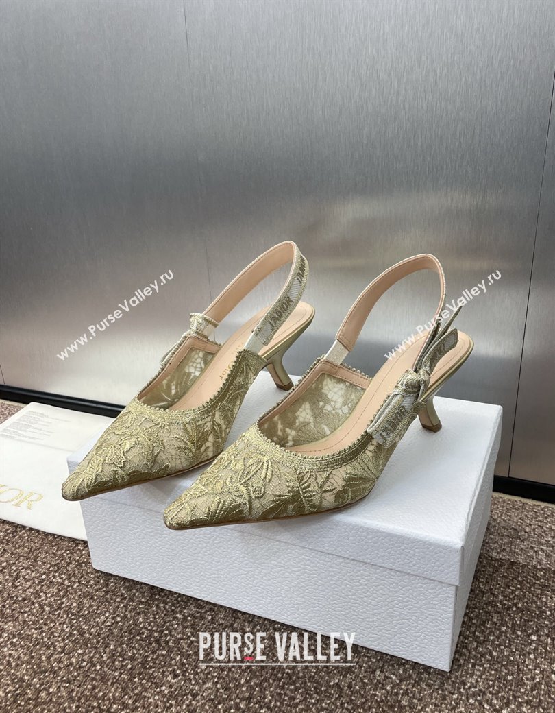 Dior JAdior Slingback Pumps 6.5cm in Transparent Mesh with Gold-Tone Chardons Embroidery 2024 (JC-241231038)