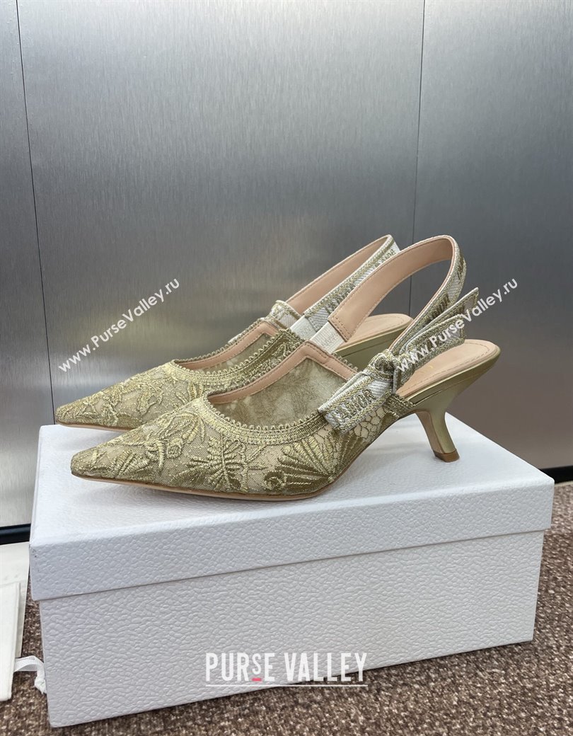 Dior JAdior Slingback Pumps 6.5cm in Transparent Mesh with Gold-Tone Chardons Embroidery 2024 (JC-241231038)