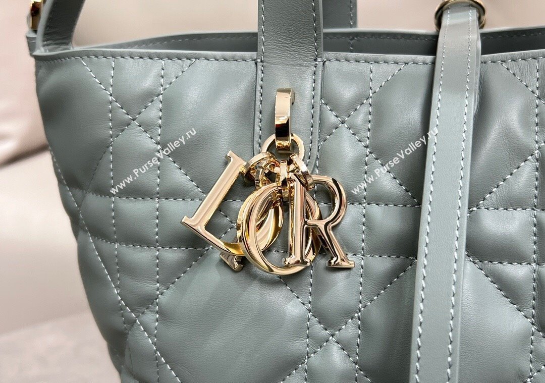 Dior Medium Toujours Vertical Tote Bag in Macrocannage Calfskin Slate Grey 2025 2836 (XXG-250207077)