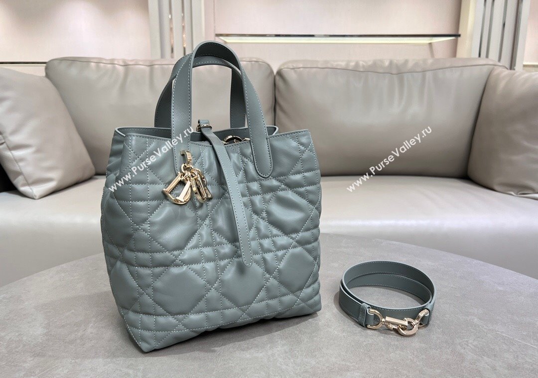 Dior Medium Toujours Vertical Tote Bag in Macrocannage Calfskin Slate Grey 2025 2836 (XXG-250207077)