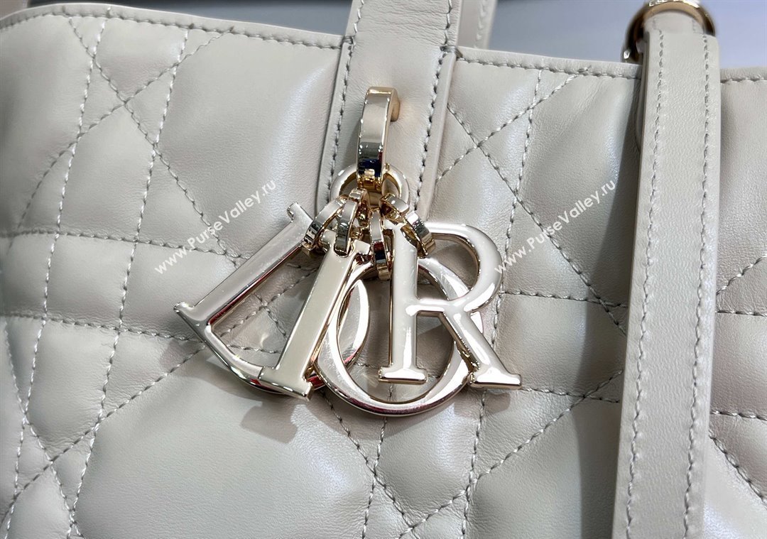 Dior Medium Toujours Vertical Tote Bag in Macrocannage Calfskin Powder Beige 2025 2836 (XXG-250207081)