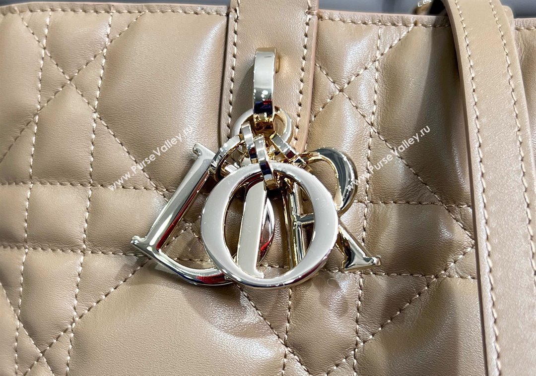 Dior Medium Toujours Vertical Tote Bag in Macrocannage Calfskin Tan Brown 2025 2836 (XXG-250207083)