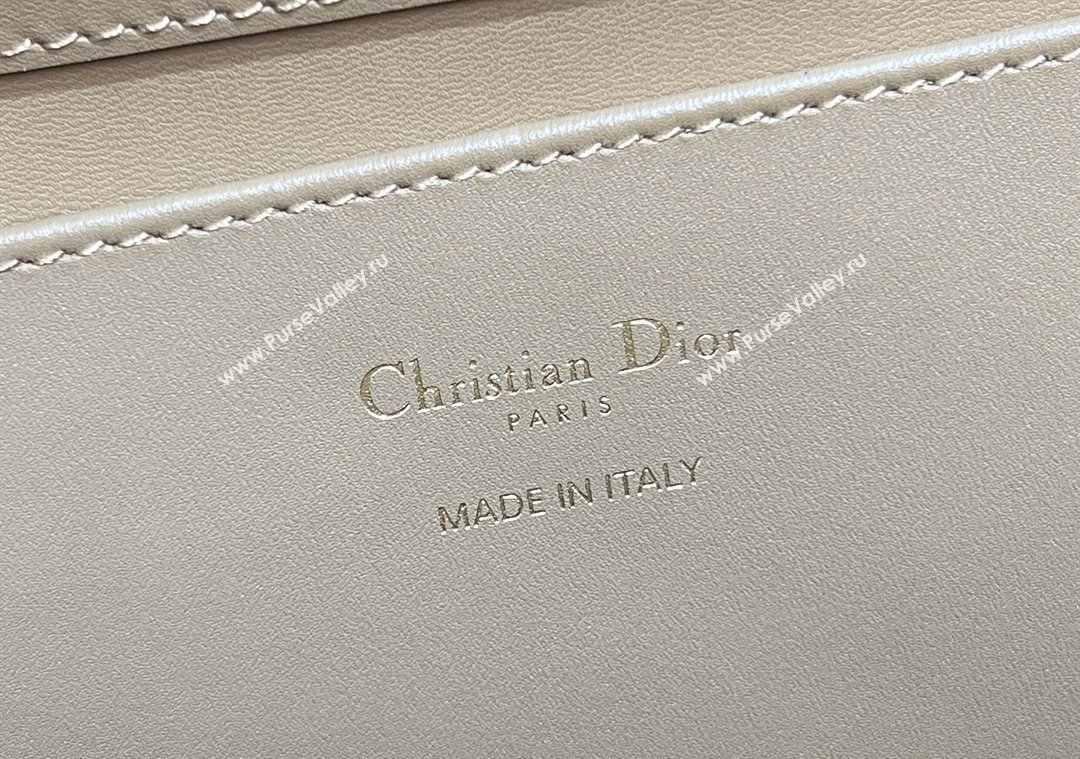 Dior Medium Toujours Vertical Tote Bag in Macrocannage Calfskin Tan Brown 2025 2836 (XXG-250207083)