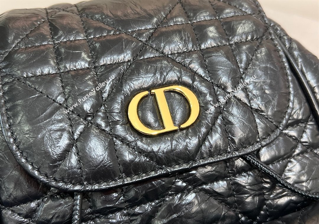 Dior Medium Dior Caro Backpack Bag in Cinkled Calfskin Black 2025 6301 (XXG-250207069)